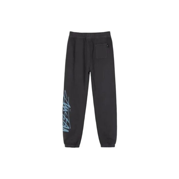 Stussy Smooth Stock Printed Pant black