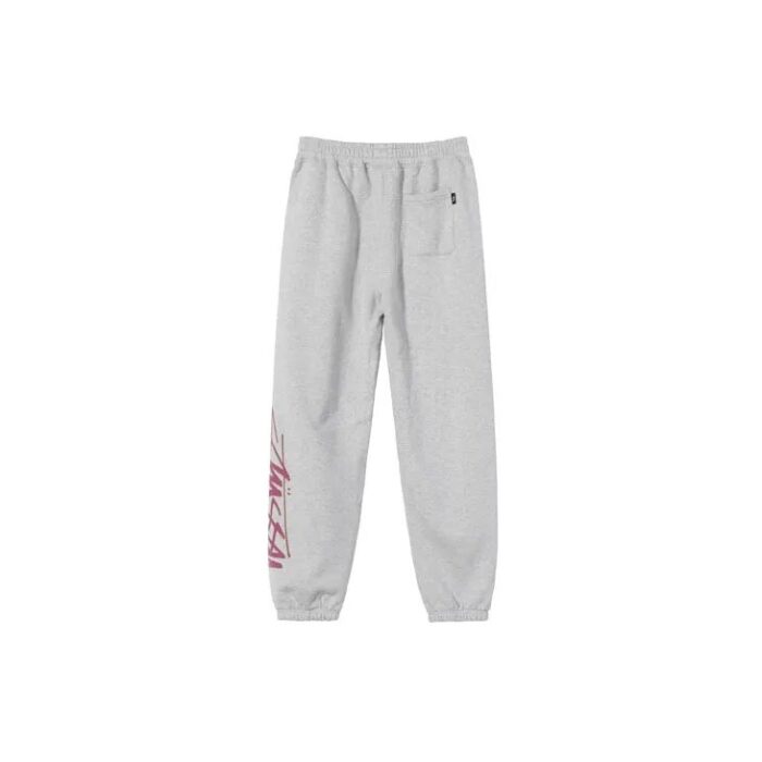 Stussy Smooth Stock Printed Pant gray1