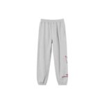 Stussy Smooth Stock Printed Pant gray