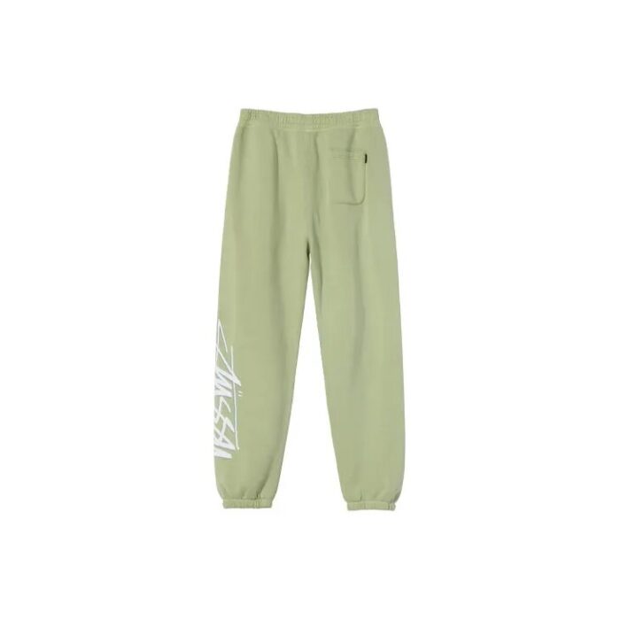 Stussy Smooth Stock Printed Pant green