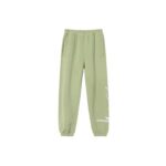 Stussy Smooth Stock Printed Pant green